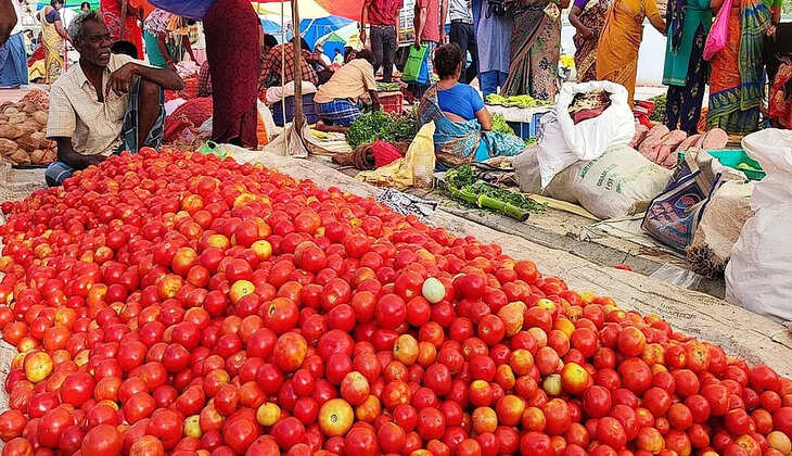 தக்காளி