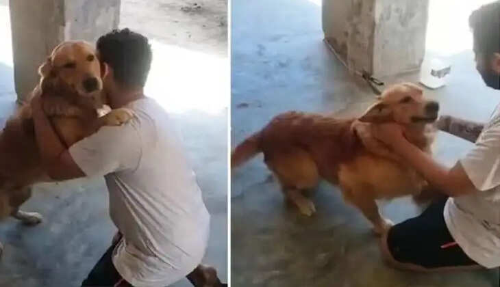 உருக வைக்கும் வீடியோ எங்கடா போயிட்ட மக்கா உரிமையாளரை பார்த்ததும் கட்டியணைத்த நாய்!
