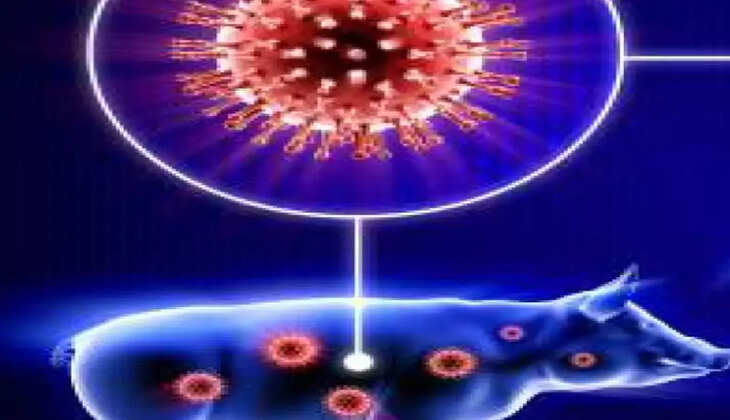 பன்றிக்காய்ச்சல்