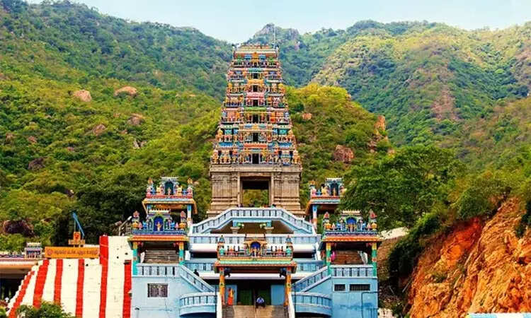 மருதமலை