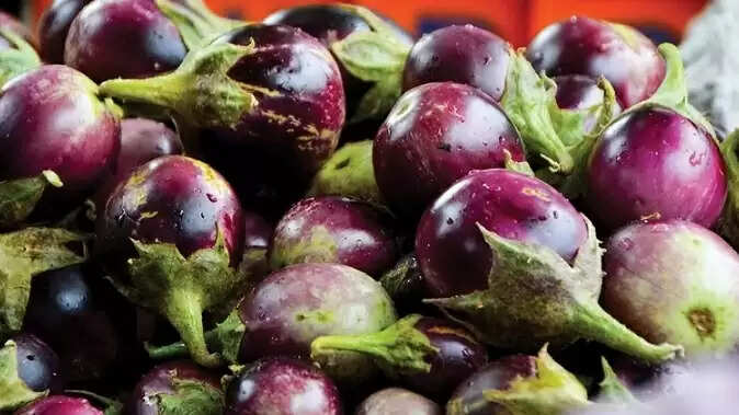 முள்ளு கத்தரிக்காய்