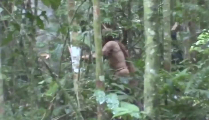 அமேசான்