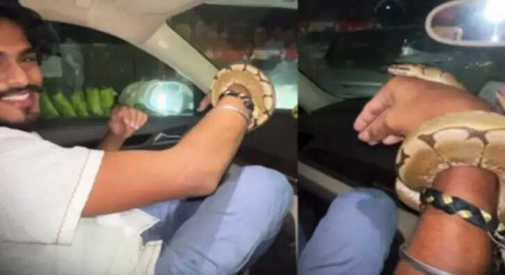 டிடிஎஃப் வாசன்