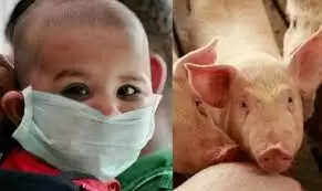 பன்றிக் காய்ச்சல்