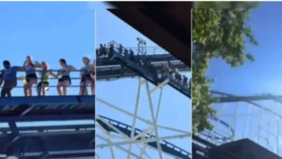 rolar coaster
