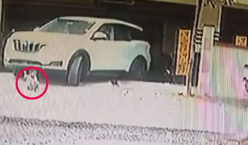 அர்பினா