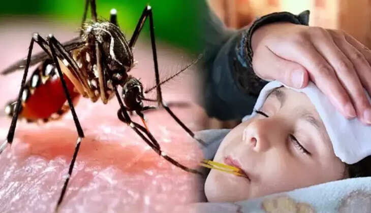 வெஸ்ட் நைல் காய்ச்சல்