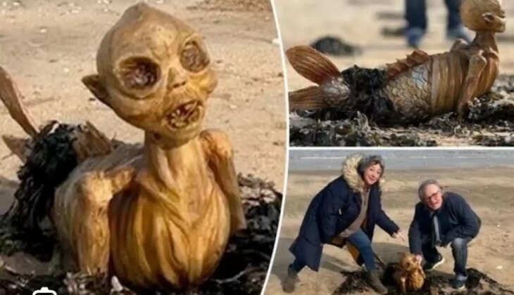 கடல்கன்னியை நேரில் பார்த்த பயணிகள்... அதிரவைத்த புகைப்படம்!