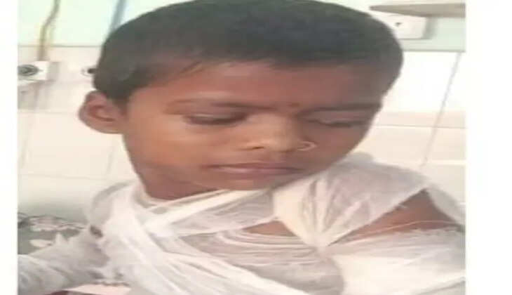 சாம்பார்