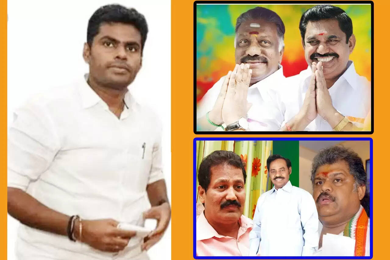 அண்ணாமலை ஈரோடு