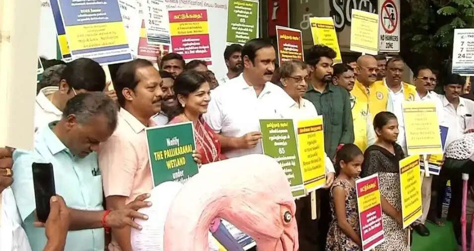 அன்புமணி பள்ளிக்கரணை சதுப்புநிலம்