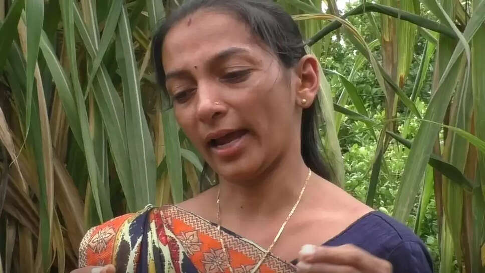 மித்தல்