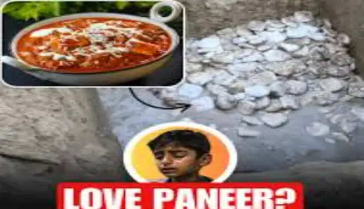 panneer