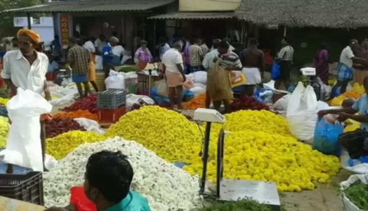 மலர்கள்