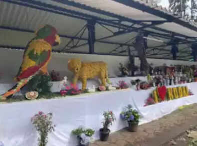 மலர் கண்காட்சி