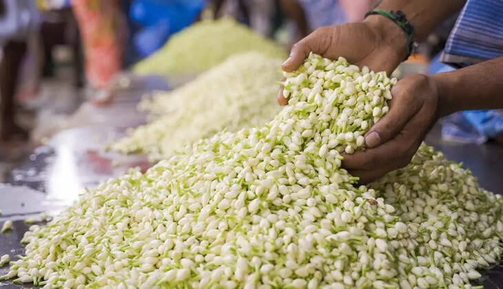 மல்லிகை மல்லிப்பூ பூ சந்தை