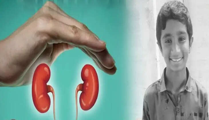 நுரையீரல்