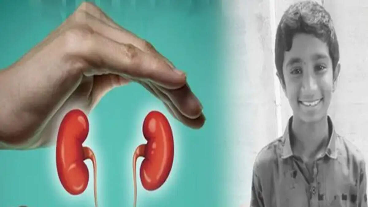 நுரையீரல்