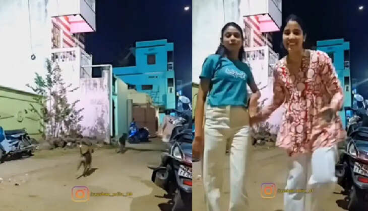 ரீல்ஸ் எடுத்த இளம்பெண்களை துரத்தியடித்த தெருநாய்கள்