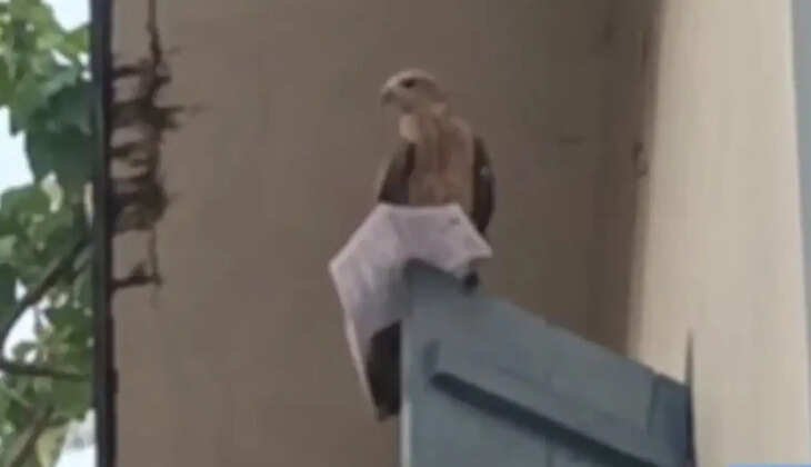 அதிர்ச்சி வீடியோ... தேர்வு நேரத்தில் ஹால் டிக்கெட்டை தூக்கி சென்ற கழுகு... பதறி துடித்த மாணவர்!&nbsp;