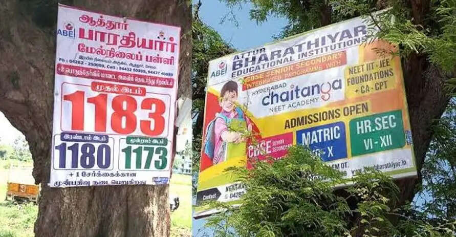 மரம் வெட்டினால்