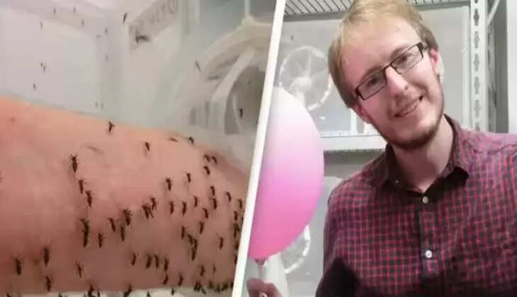 பெரோன் ரோஸ்