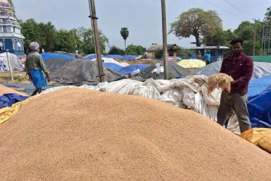 நெல் கொள்முதல்