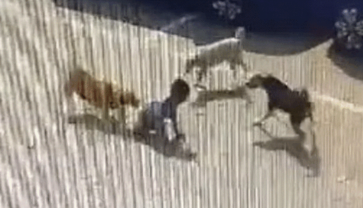 4 வயது குழந்தை