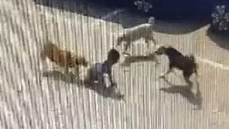 4 வயது குழந்தை