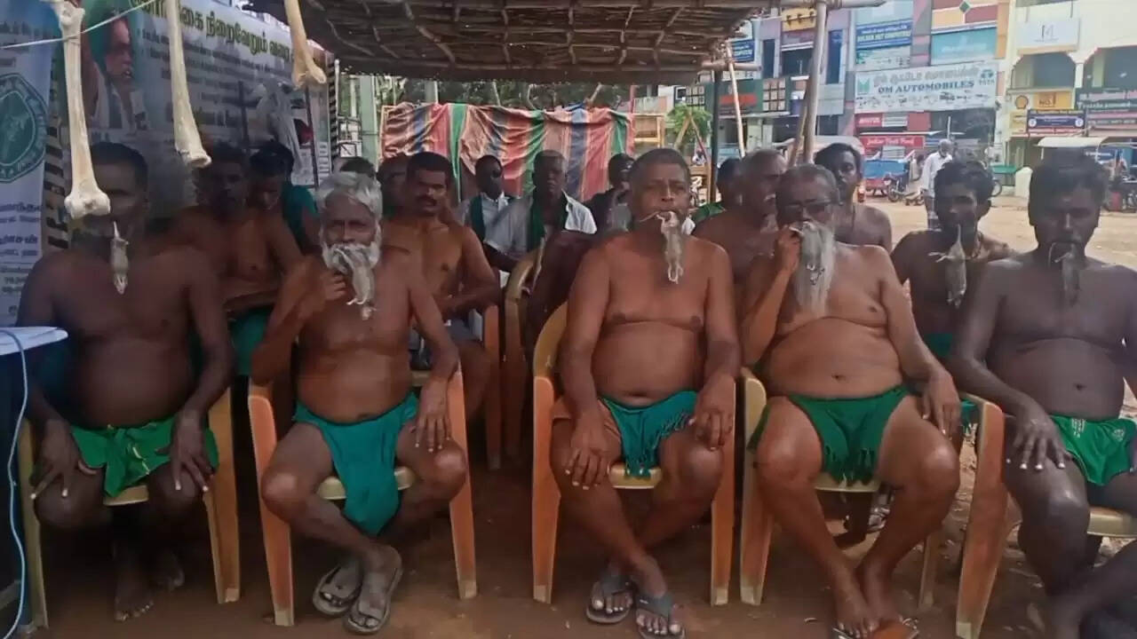 எலி போராட்டம்