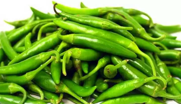 பச்சைமிளகாய்