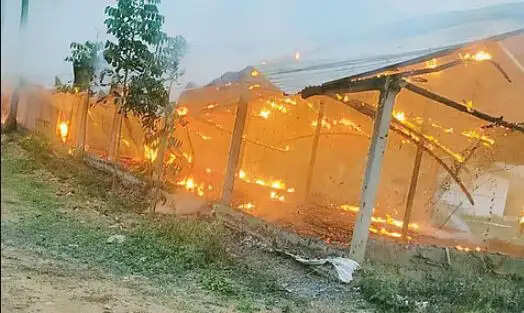 கோழிப்பண்ணையில் தீ கோழி பண்ணையில் தீ