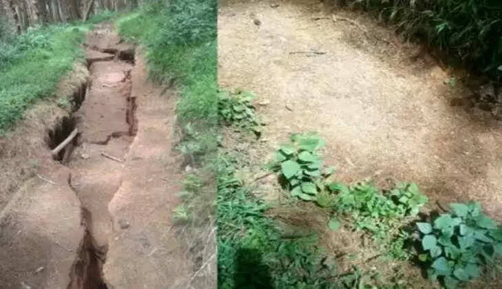 கொடைக்கானல்