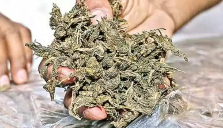 கஞ்சா கடத்தல்