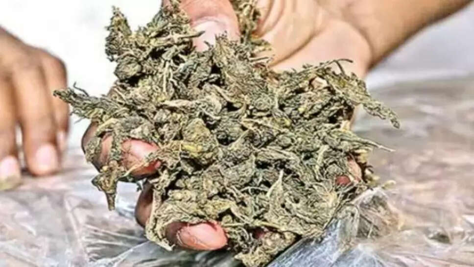 கஞ்சா கடத்தல்