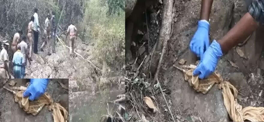 ஞானசௌந்தர்யா