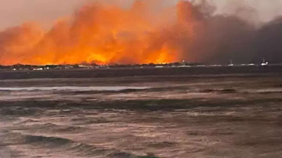 காட்டுத்தீ