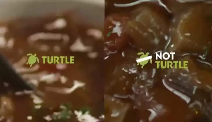 சைவ ஆமை சூப்