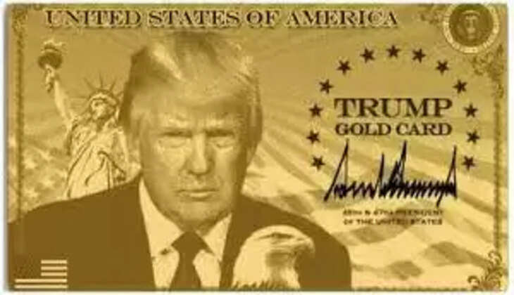 ட்ரம்ப்