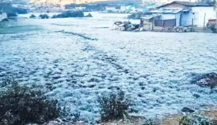 ஊட்டி உறைப்பனி