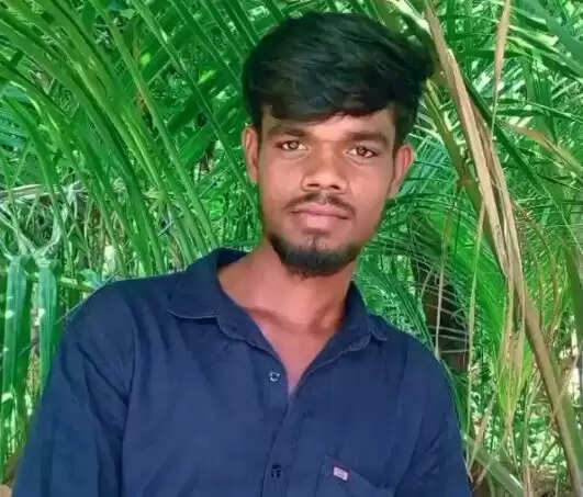 மின்வேலி