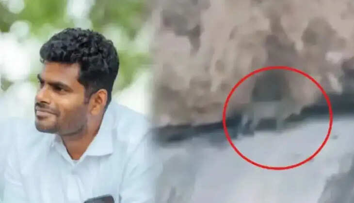 அண்ணாமலை