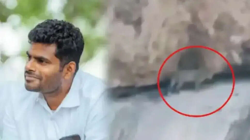 அண்ணாமலை