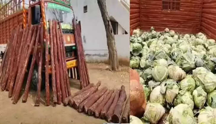 காய்கறி லாரியில் செம்மரக்கட்டைகள் கடத்தல்