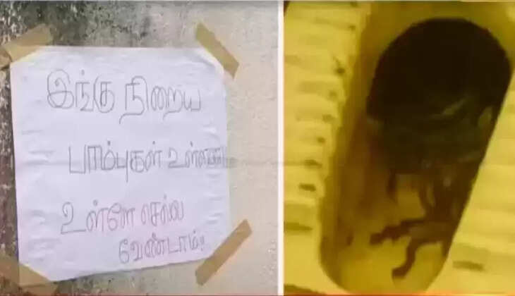 கழிவறையில் பாம்பு