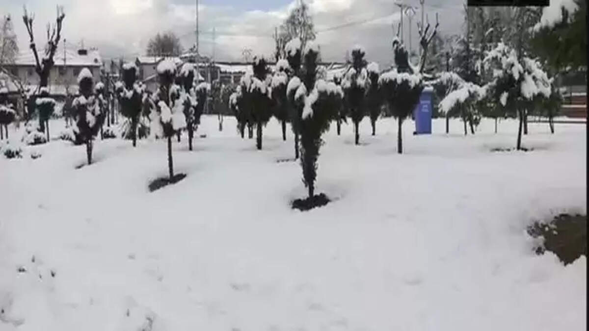 ஜம்மு காஷ்மீர்