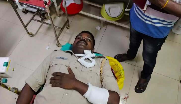 ஆடிவேல்