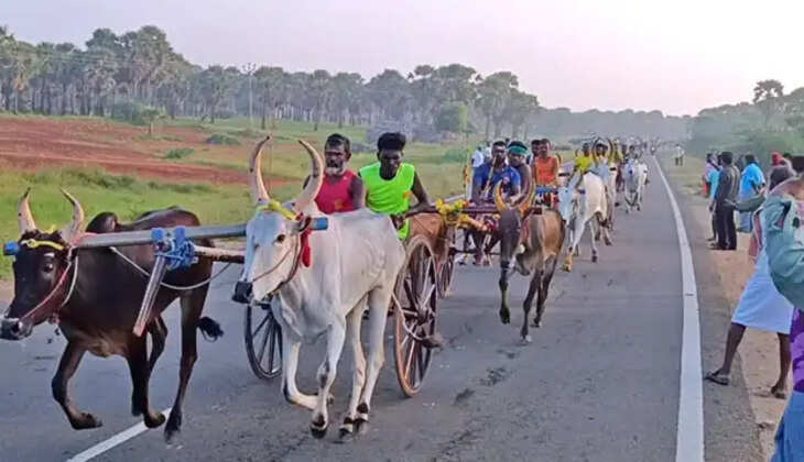 மாட்டு வண்டி எல்கை