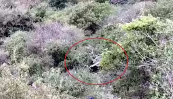 தேனி விபத்து