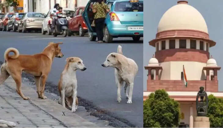 நாய்க்கடி